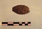 Thumbnail of plate 42
