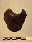 Thumbnail of plate 43